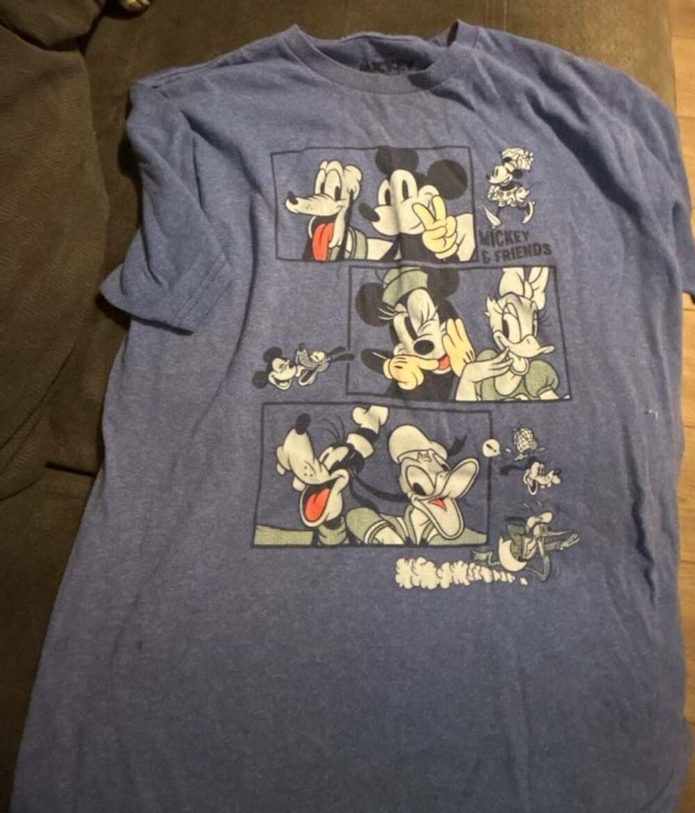 Disney Mickey & Friends Character Panel Blue Heather T-Shirt